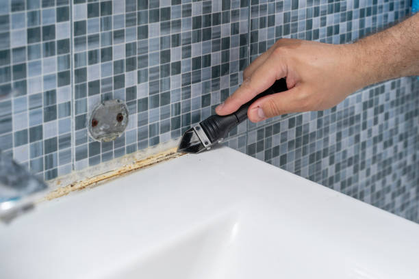 Best Residential Mold Remediation in Great Neck Gardens, NY